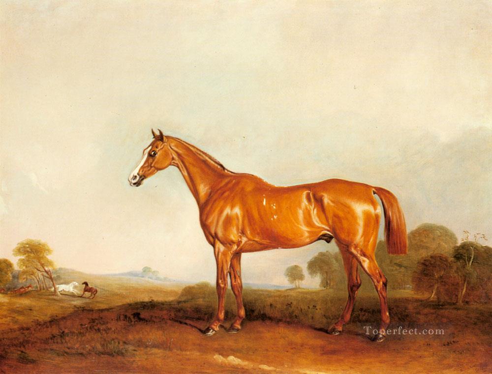 Un chasseur de châtaigne d’or dans un cheval de paysage John Ferneley Snr Peintures à l'huile